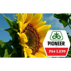 Семена подсолнечника Pioneer P64 LE99